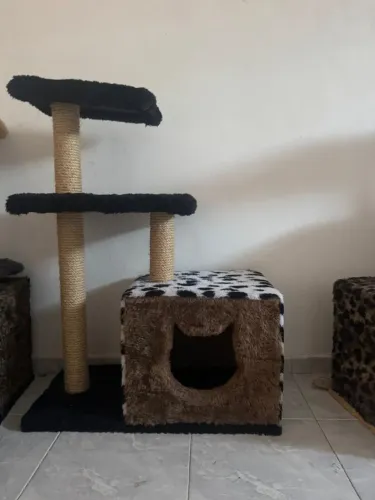 Casinha de gato