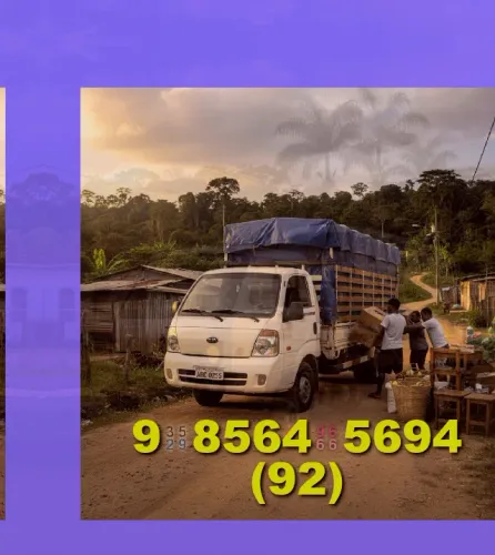 Transporte de Cargas: qualidade e rapidez para sua mudança!
