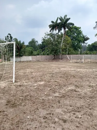 Vendo