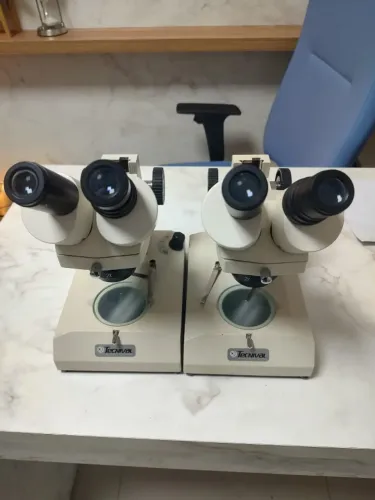 Estereomicroscópio Binocular Tecnival (Lupa de Bancada)