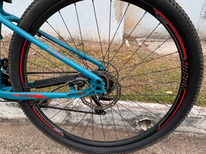 Bicicleta Audax