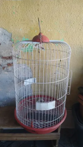 Gaiola barata