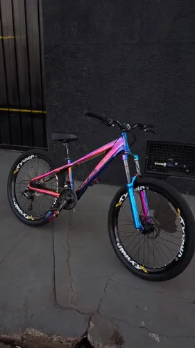 Bike Camaleão