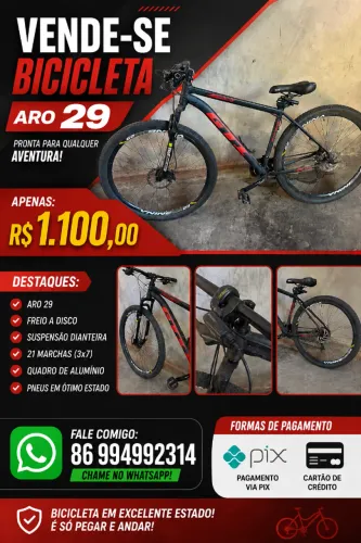 Bicicleta aro 29