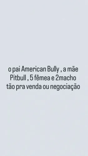 Filhote