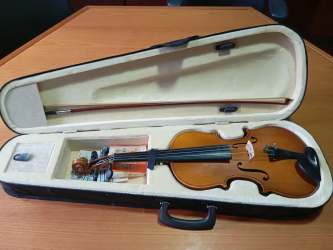 Violino