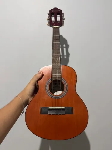 Vende-se cavaquinho Giannini+ case ( capa)