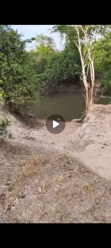 FAZENDA A VENDA EM DIVINÓPOLIS TOCANTINS