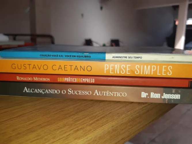 (Lote) Livros Autoajuda / Negócios / Tempo / Emprego e Sucesso