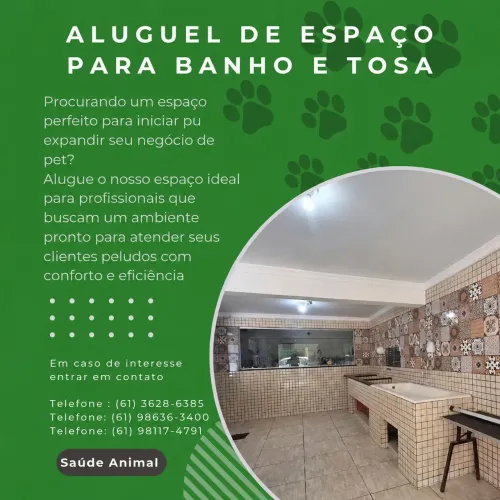 Aluga-se banho e tosa