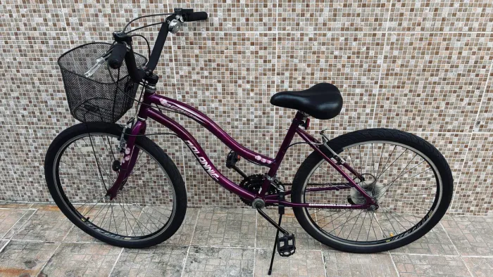 Bicicleta Feminina Dalannie bike aro 26