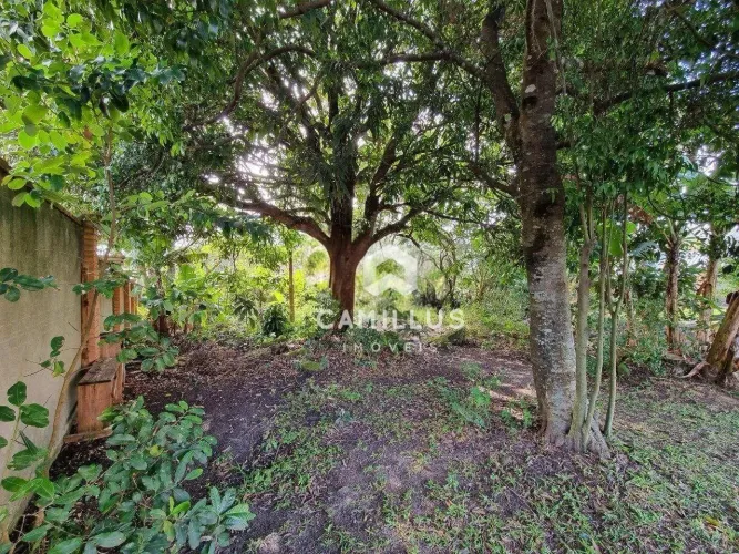 Terreno Escritura Pública à venda, 407 m² por R$ 876.000 - Rio Tavares - Florianópolis/SC