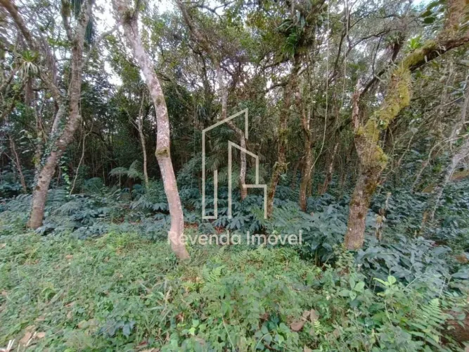 Sítio à venda em Embura, São Paulo-SP: 2 quartos, 1 banheiro e 20.000m² de área! Venha con