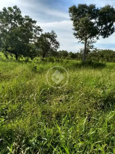 Sítio em chapada na região do ( chapada do roncador ). codigo: 308018