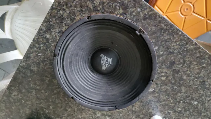 Autofalante 12 polegadas