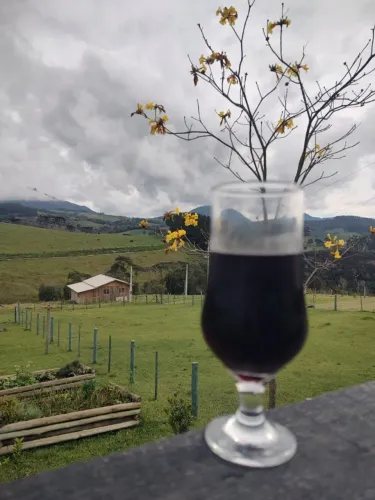 Chácara à venda em Alfredo Wagner ( 1.374 m2 ) Lindo e Cercado 