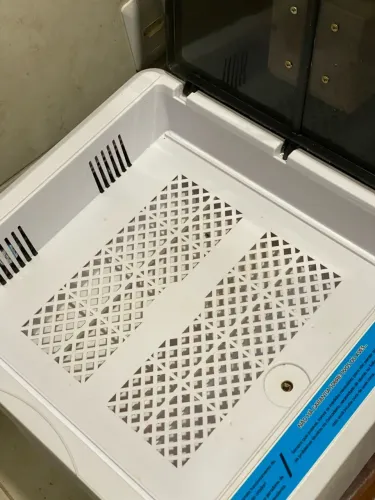 Chocadeira