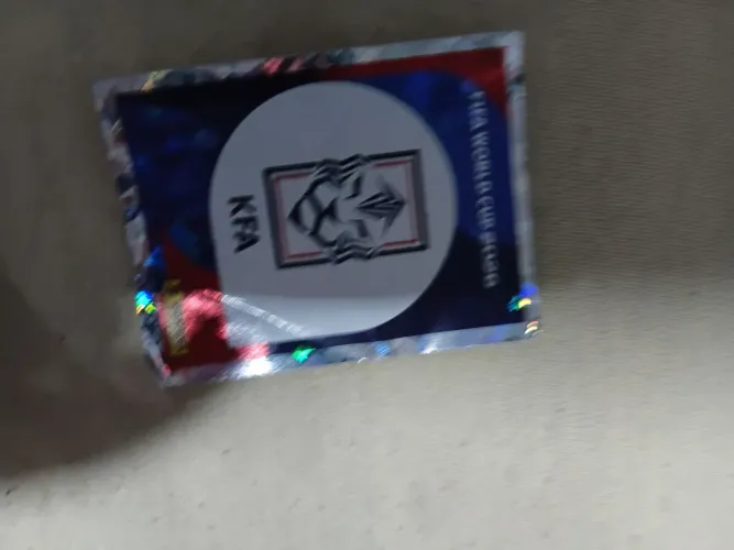 Figura da Copa do Mundo
