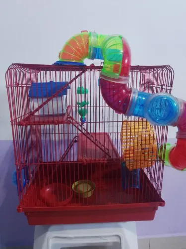 Vendo gaiola
