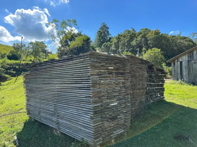 Madeira de Demolição Canela e Peroba - Lote Completo - Gravatal/SC