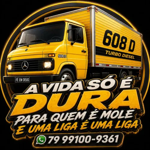 Baú disponível para frete