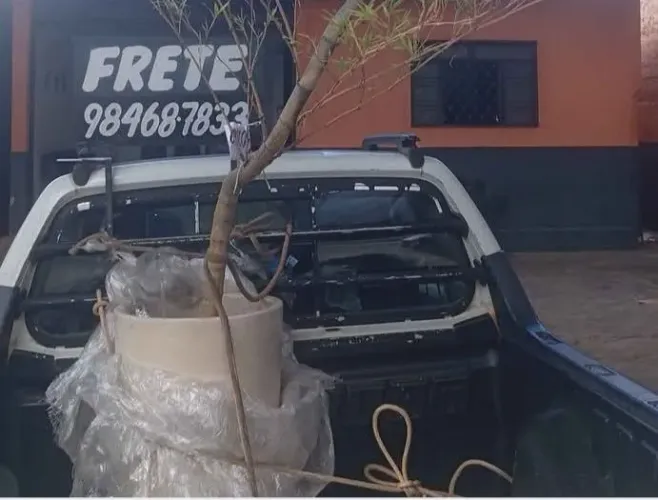 Frete para toda Goiânia e região 