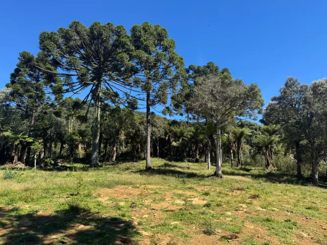 Terreno em Urubici- Rota das cachoeiras