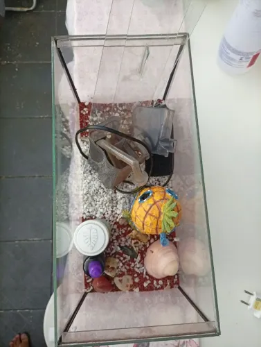 Aquário