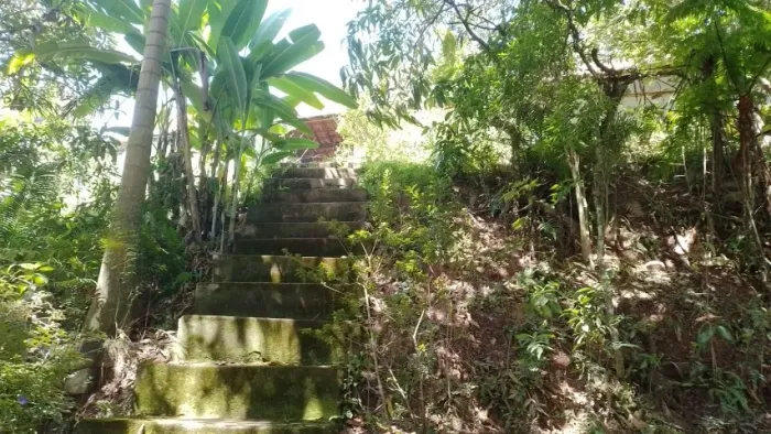 Vendesse uma roça em Paraibuna