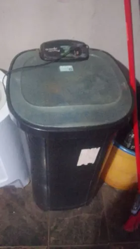 Vendo os dois 