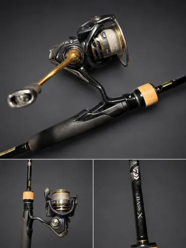 Conjunto Daiwa para pessoas exigentes