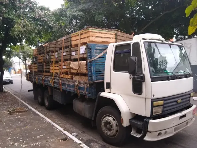 MOTORISTA PARA TRUCK CARROCERIA