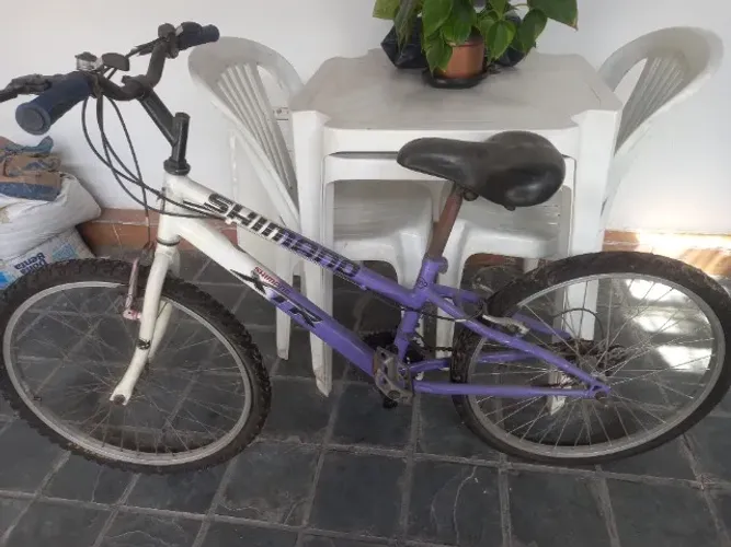 Bicicleta Aro 24