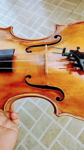Viola de Arco Autor André Antunes
