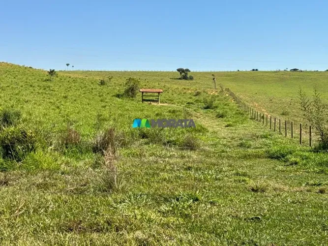 FAZENDA À VENDA - 50 HECTARES - BAMBUÍ (MG)