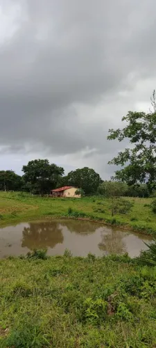Chácara em Cezarina