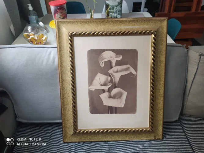Lindo quadro antigo com assinatura do artista 