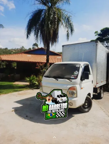 Pequenas mudanças Ribeirão das neves e regiao *