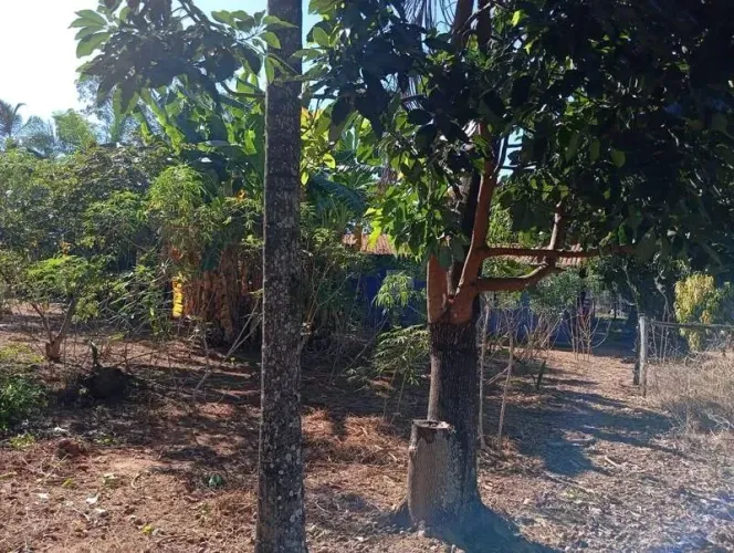 Vendo 6,5 alqueires de Cultura em Cromínia - GO