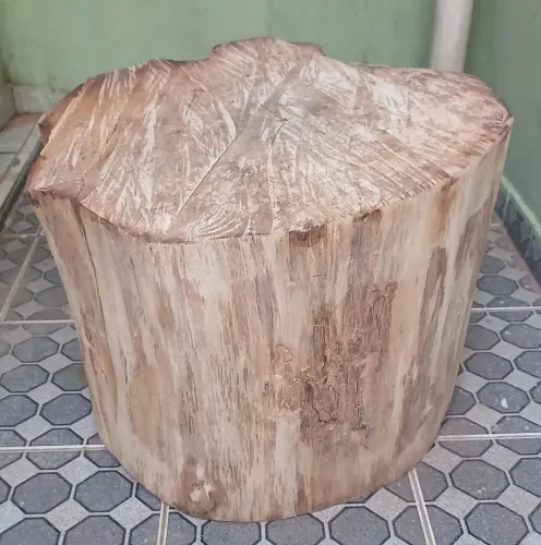 Tronco rústico 