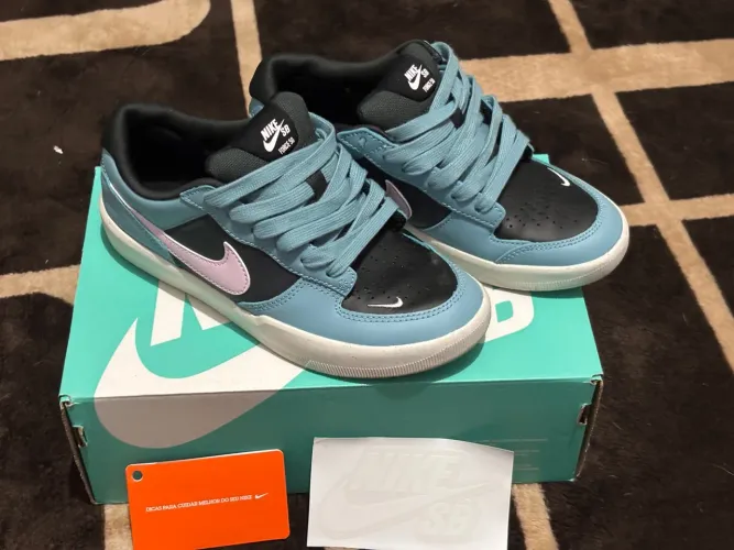Nike Sb force Novo