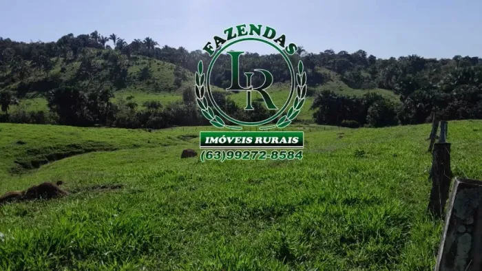 Fazenda 47 alqueires, Dupla Aptidão no Tocantins.