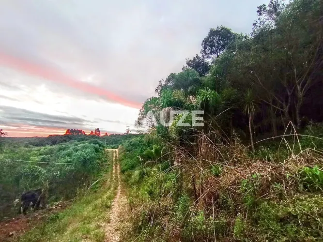 Excelente Oportunidade !!!Chácara à venda, Colônia Murici, São José dos Pinhais, PR