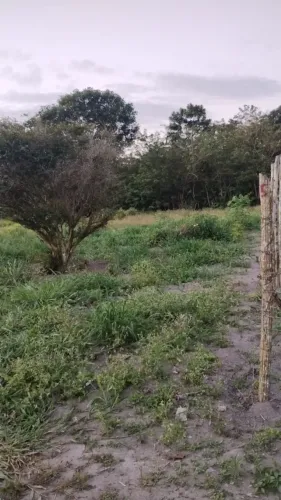 Lotes em Pedras - Santo Amaro/BA | A partir de R$ 21 mil