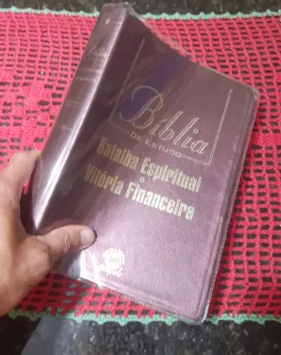 Bíblia de estudo batalha espiritual e vitória financeira (bordô)