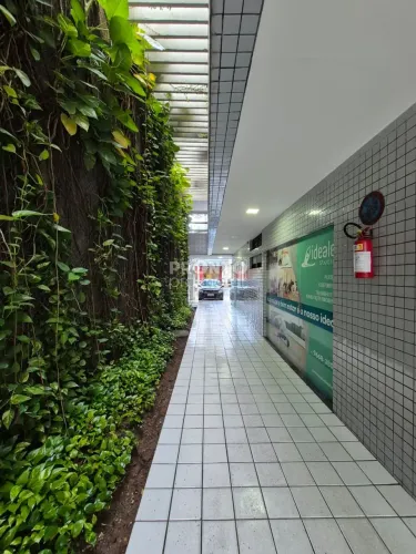 Imóvel Comercial em Espinheiro