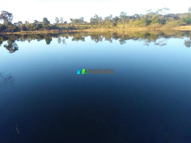 FAZENDA À VENDA - 82,70 HECTARES - FELIXLÂNDIA (MG)