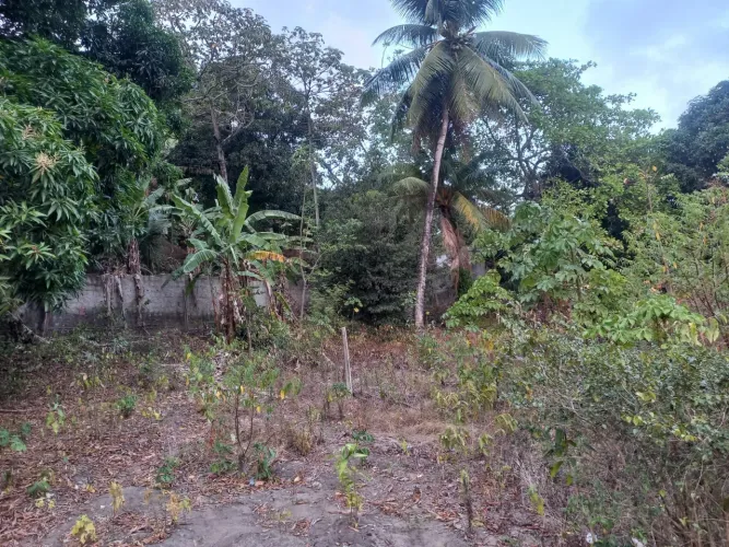 Terreno com 200 m² ou 400 m²