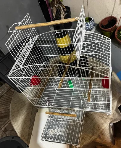 Gaiola para calopsitas 