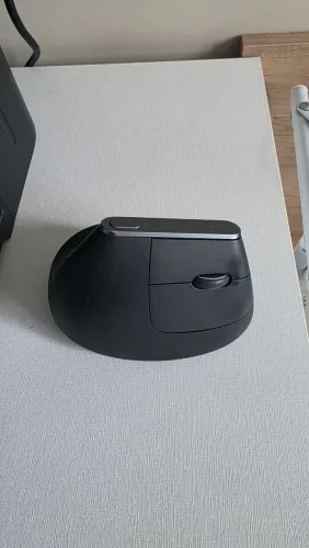 Mouse logitech Vertical MX